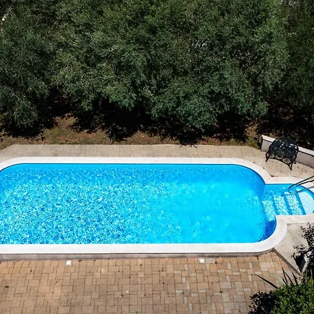 Apolonija זאדאר